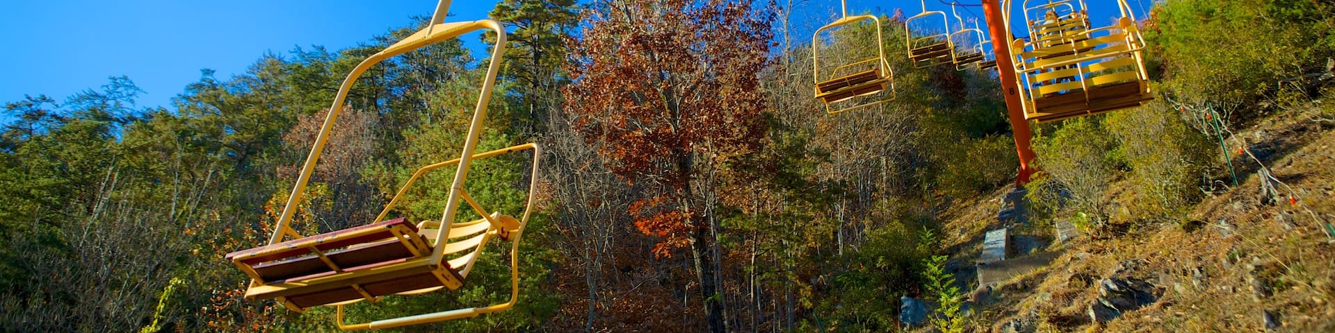 Gatlinburg Sky Lift showing a gondola and forest scenes