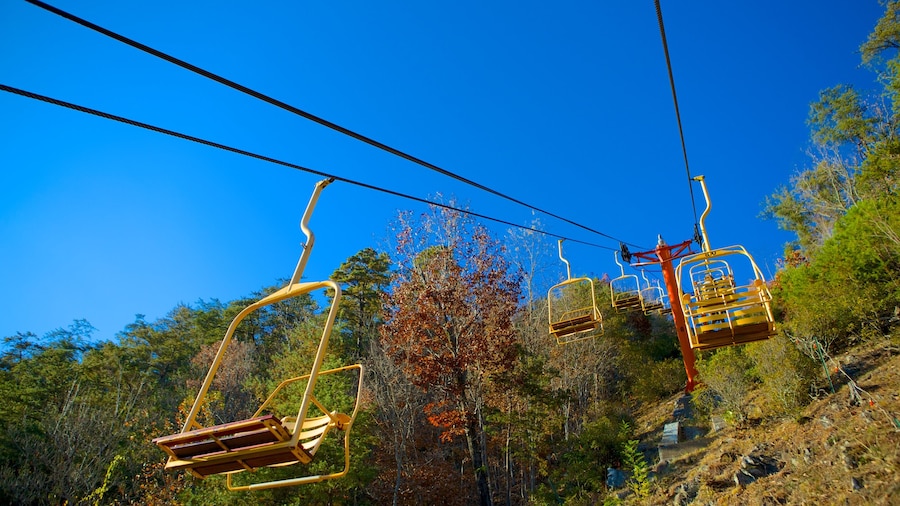 Remonte de Gatlinburg que incluye una góndola y bosques