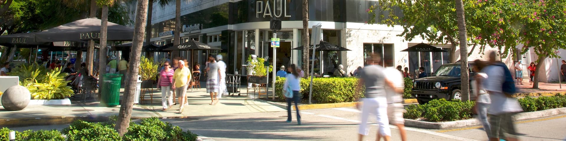 Lincoln Road Mall which includes street scenes, tropical scenes and a city