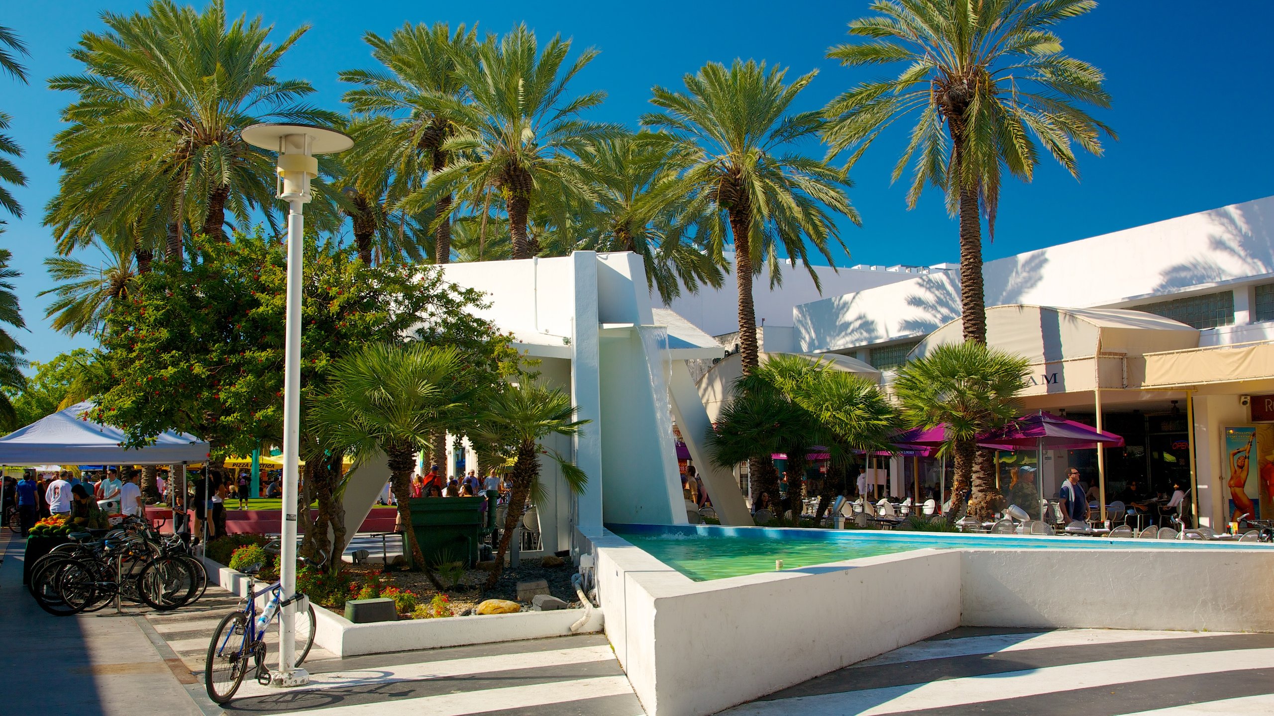 Lincoln Road Mall in South Beach - Tours and Activities