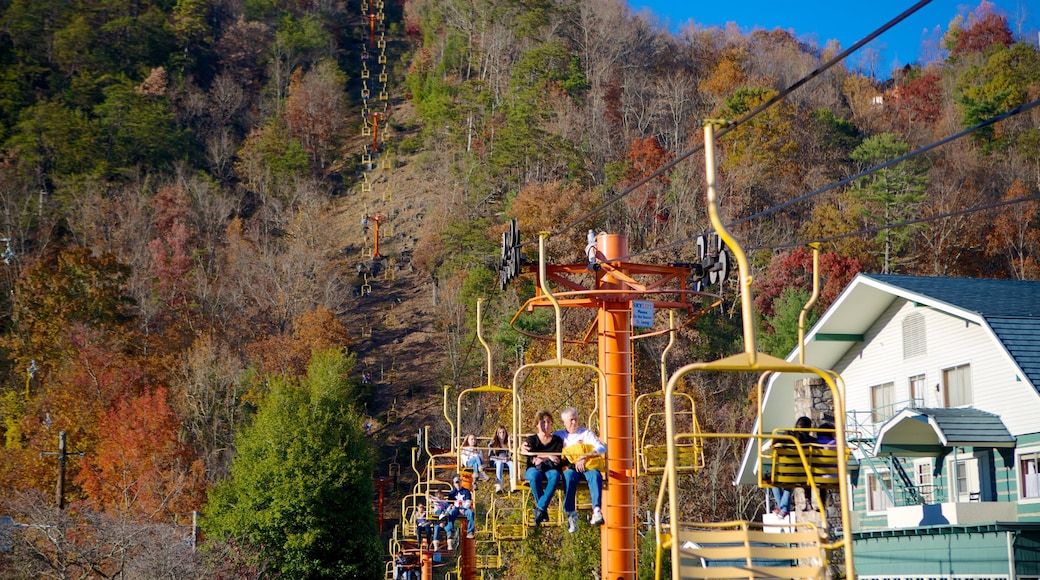 Gatlinburg Sky Lift showing forests, a gondola and autumn leaves