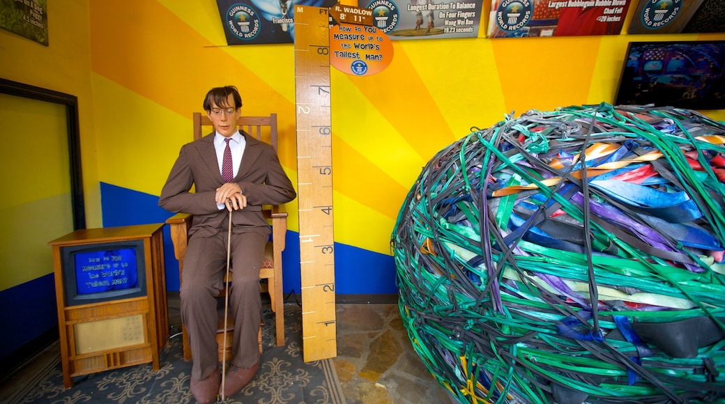 Guinness World Records Museum