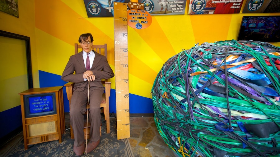 Guinness World Records Museum