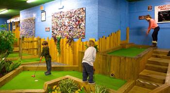 Cooter\'s Place showing interior views and golf as well as children