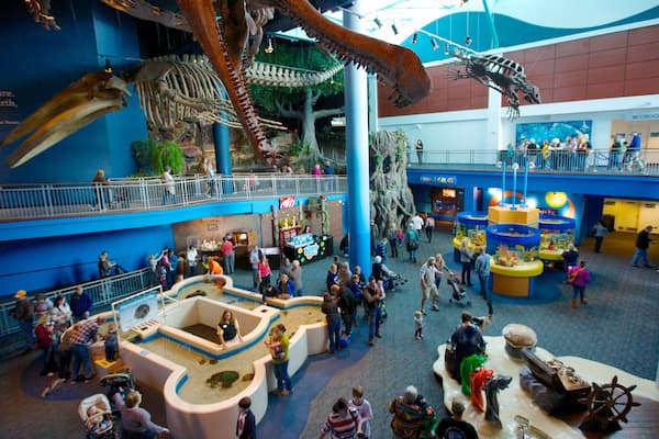 Ripley\'s Aquarium of the Smokies mostrando vistas internas e vida marinha assim como um grande grupo de pessoas