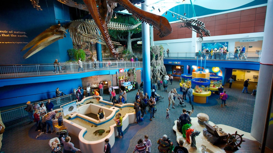 Ripley\'s Aquarium of the Smokies which includes interior views and marine life as well as a large group of people