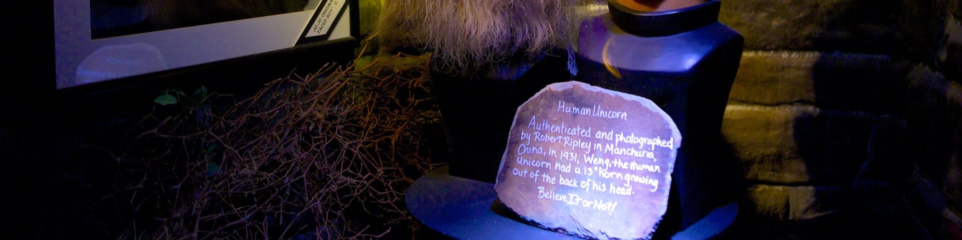 Ripley\'s Believe It Or Not Museum showing interior views