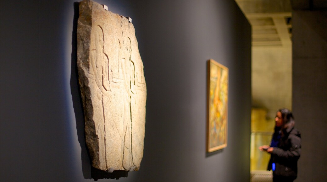 Museo de Arte Antiguo y Contemporáneo que incluye arte y vistas interiores