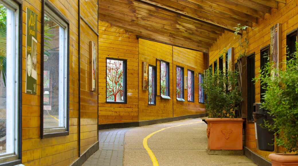 Colchesterin eläintarha johon kuuluu sisäkuvat ja eläintarhan eläimet