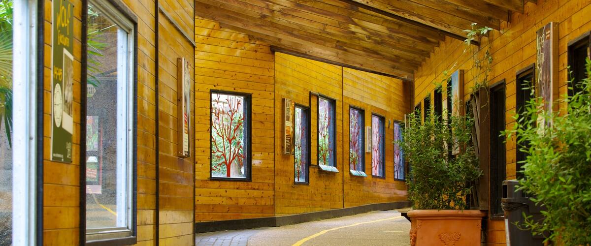 Colchesterin eläintarha johon kuuluu sisäkuvat ja eläintarhan eläimet