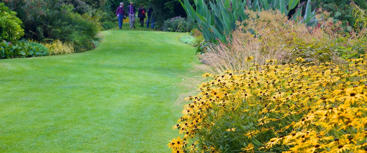 Beth Chatto Garden featuring a garden and flowers