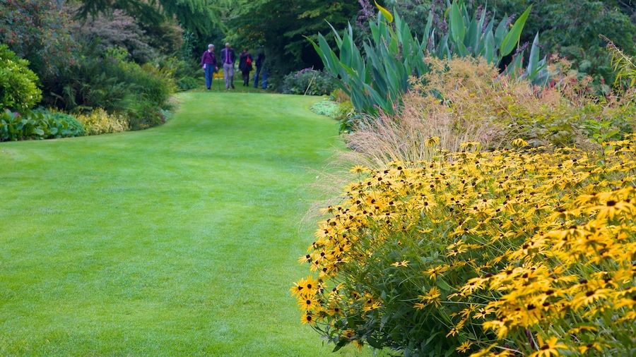 Beth Chatto Garden bevat een park en bloemen