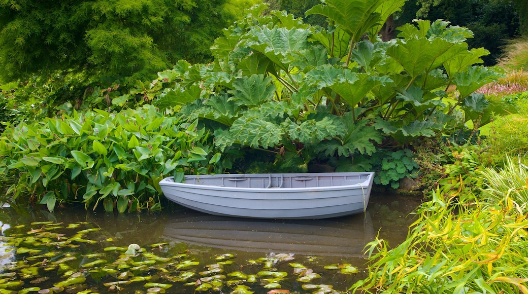 Beth Chatto Garden bevat varen, een tuin en een vijver