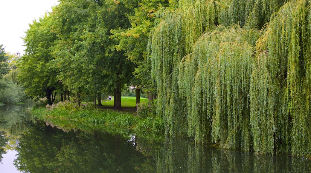 Colchester Castle Park mit einem Garten und Teich