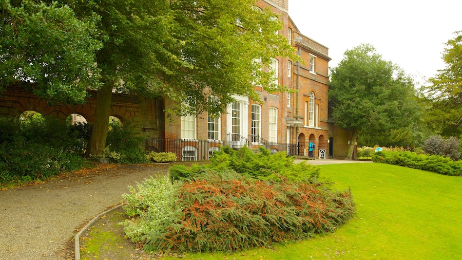 Hollytrees Museum featuring a park