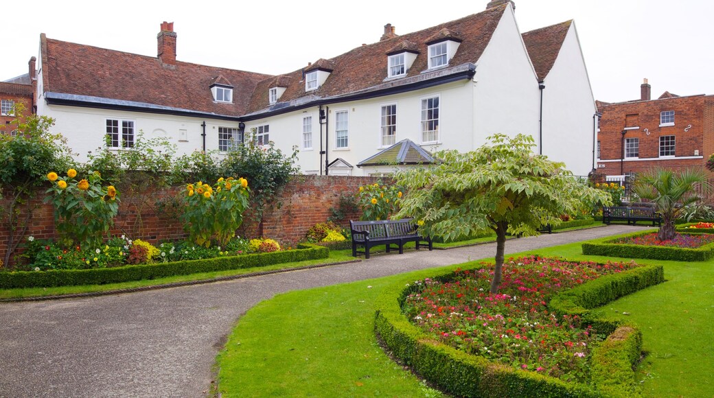 Hollytrees Museum showing a garden