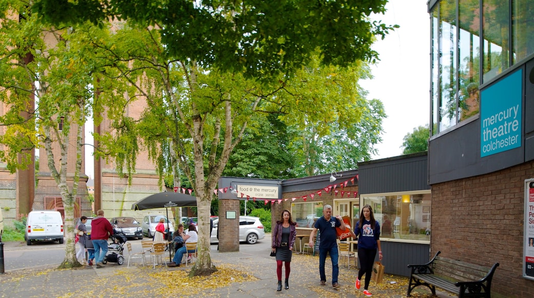 Colchester showing theatre scenes as well as a small group of people