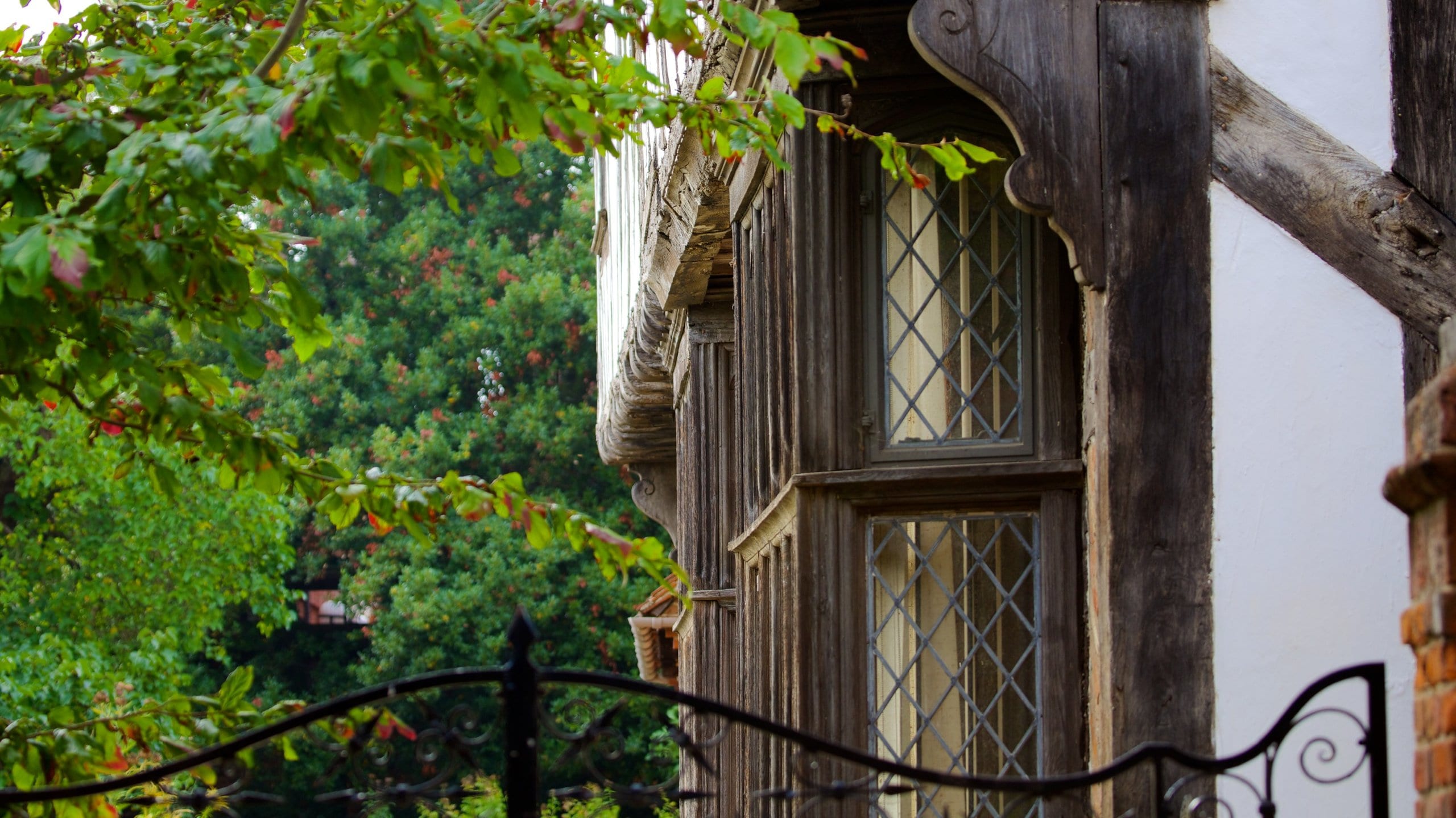 Colchester showing heritage architecture
