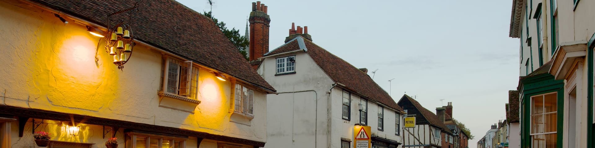 Saffron Walden showing street scenes, a city and a house
