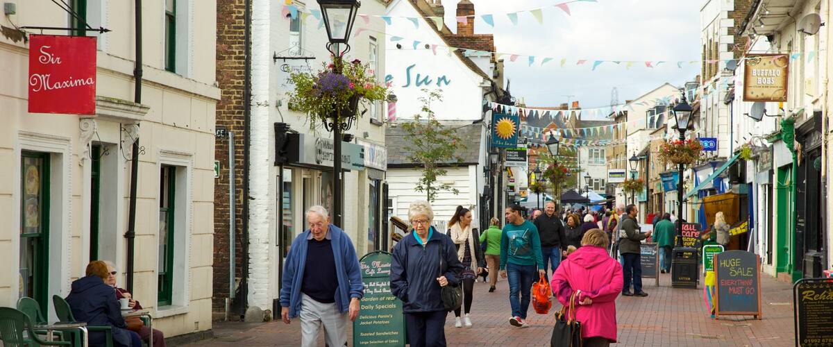 Waltham Abbey showing a small town or village as well as a large group of people