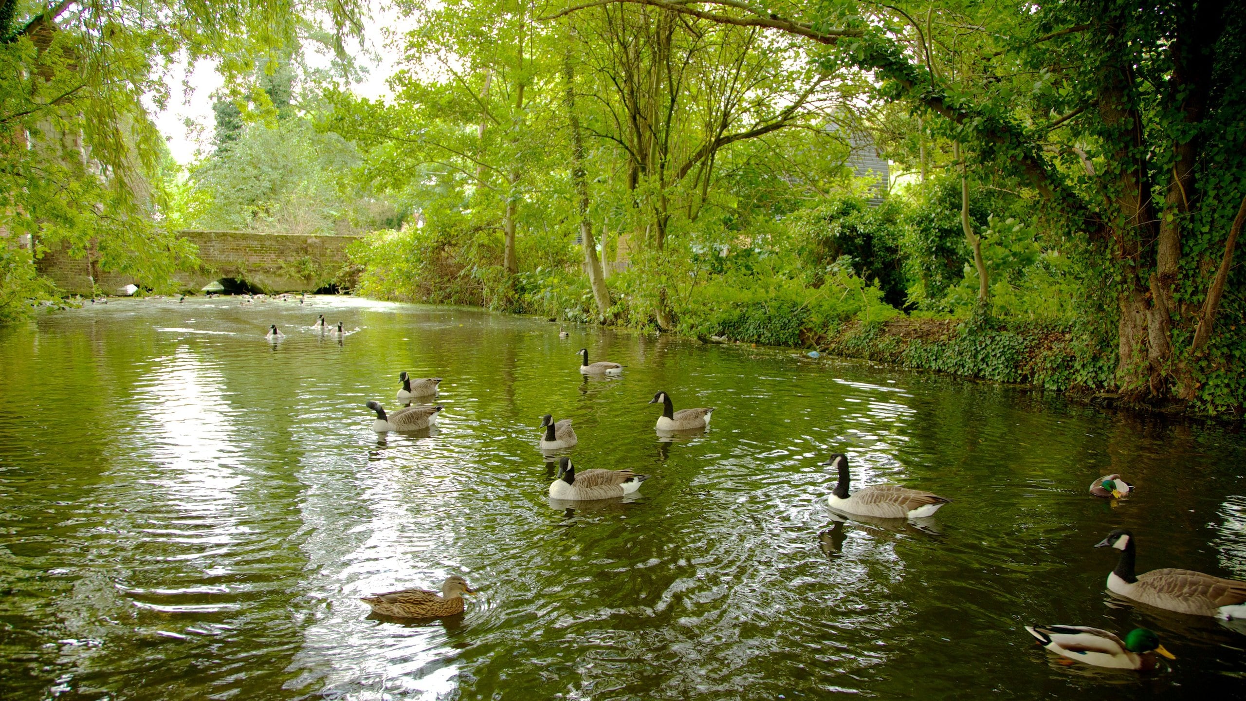 ウォルサム アビー観光ガイド～定番人気スポットを参考に自分にピッタリの観光プランを立てよう！｜エクスペディア