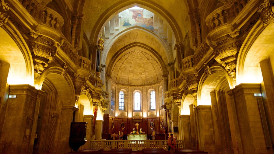 Avignon Cathedral featuring a church or cathedral, interior views and religious elements