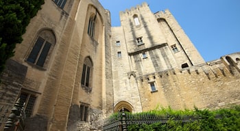 Palais des Papes montrant patrimoine historique et patrimoine architectural