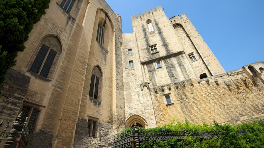 Palais des Papes which includes heritage architecture and heritage elements