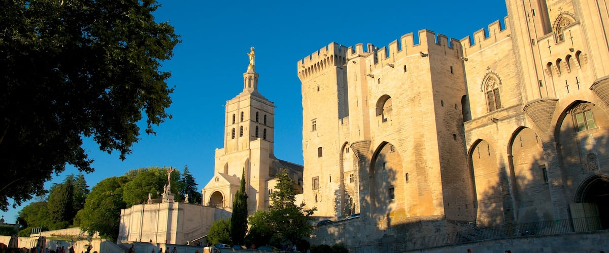Palais des Papes showing heritage architecture, a church or cathedral and heritage elements