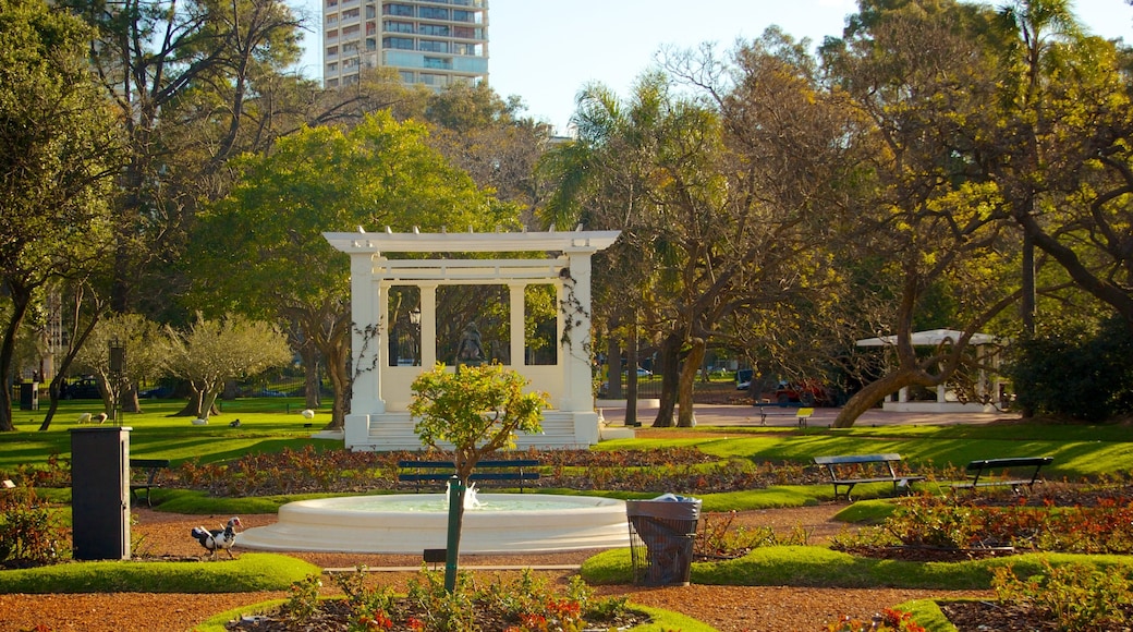 Rosedal que inclui um parque e uma fonte