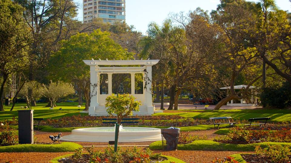 Rosedal que inclui um parque e uma fonte