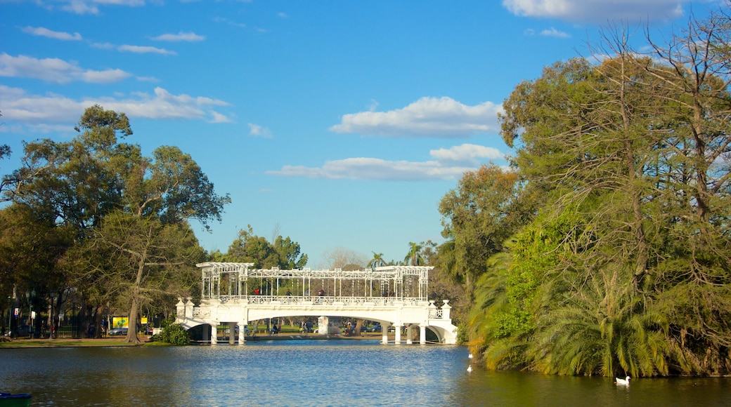 Parque del Rosedal bevat een vijver en een brug