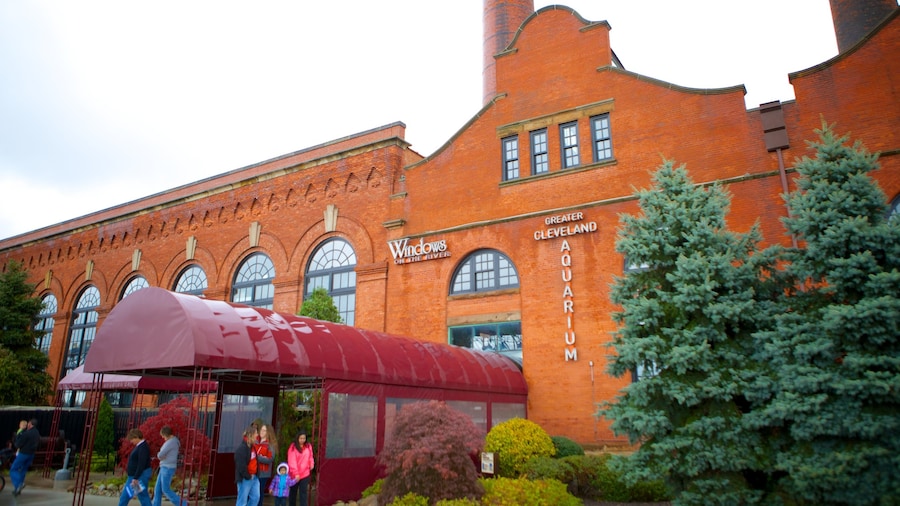 Greater Cleveland Aquarium showing marine life and heritage architecture