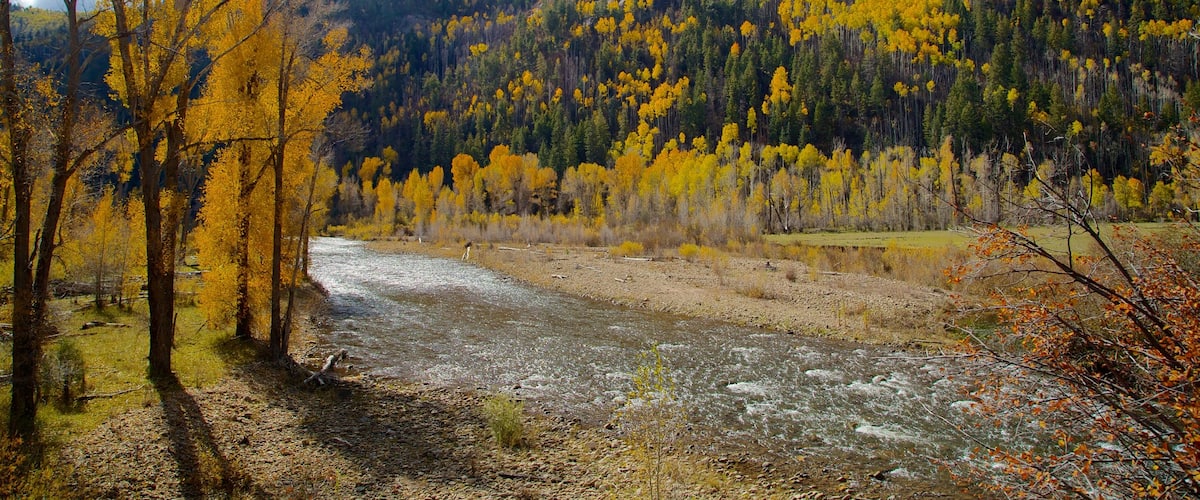 Durango - Purgatory featuring forest scenes, a river or creek and autumn leaves