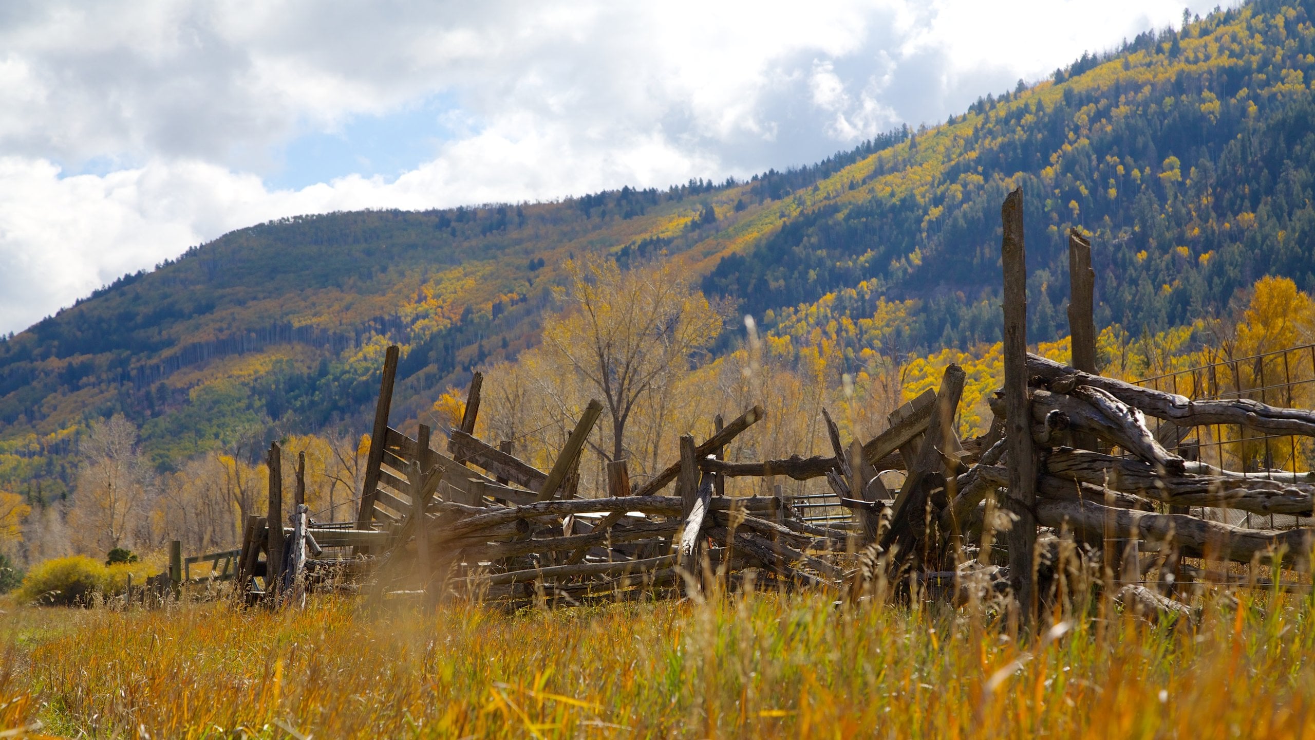 Durango - Purgatory featuring mountains and landscape views