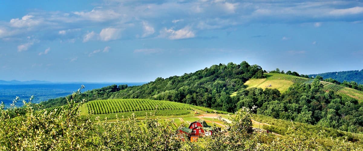 Charlottesville featuring landscape views, tranquil scenes and farmland