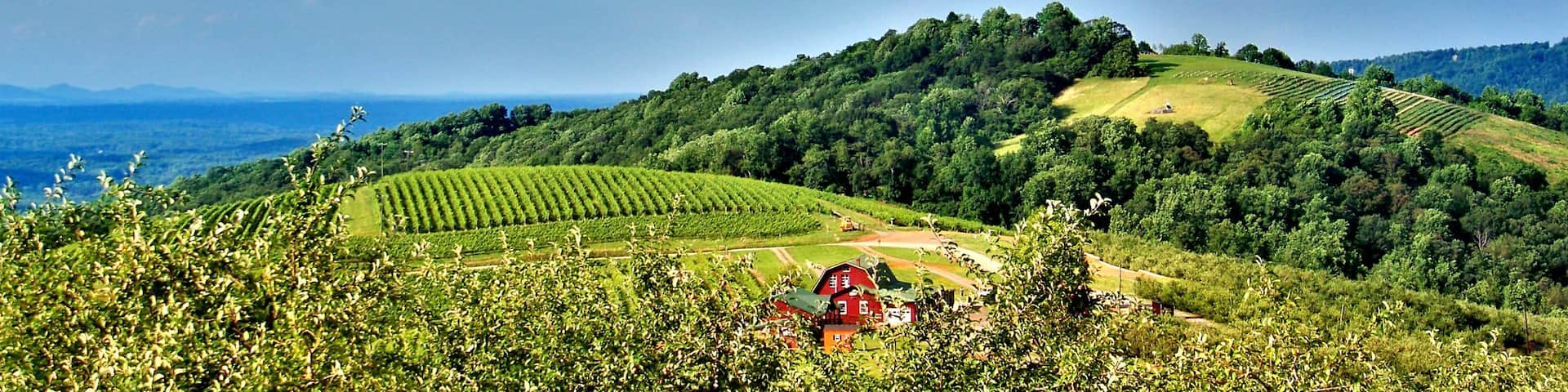 Charlottesville das einen Landschaften, ruhige Szenerie und Farmland