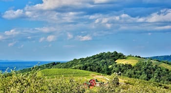 Charlottesville showing landscape views, tranquil scenes and farmland