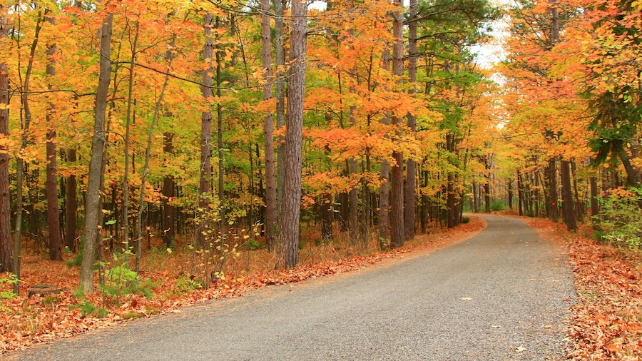 Door Peninsula featuring fall colors and forests