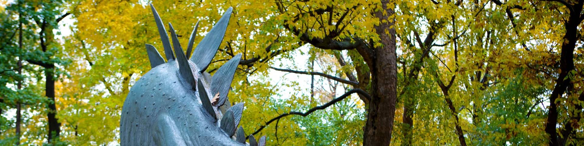 Cleveland Museum of Natural History which includes a park and autumn leaves