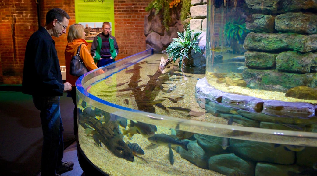 Greater Cleveland Aquarium featuring marine life and interior views as well as a small group of people