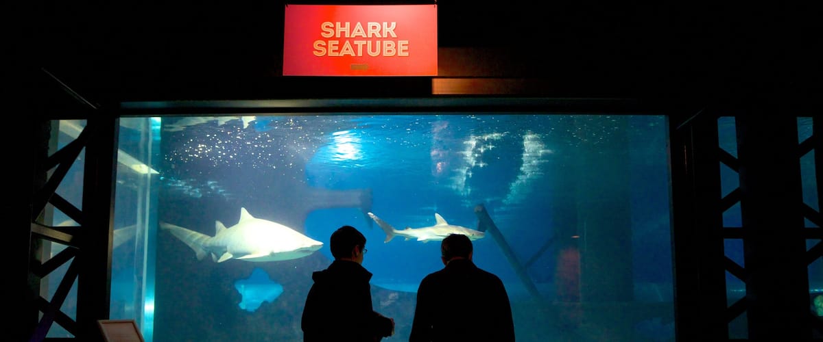 Greater Cleveland Aquarium which includes marine life and interior views