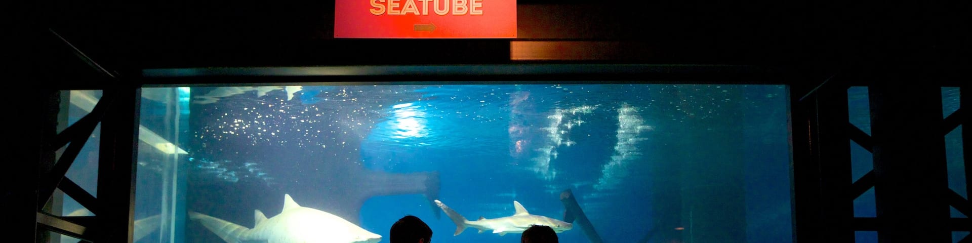 Greater Cleveland Aquarium which includes interior views and marine life