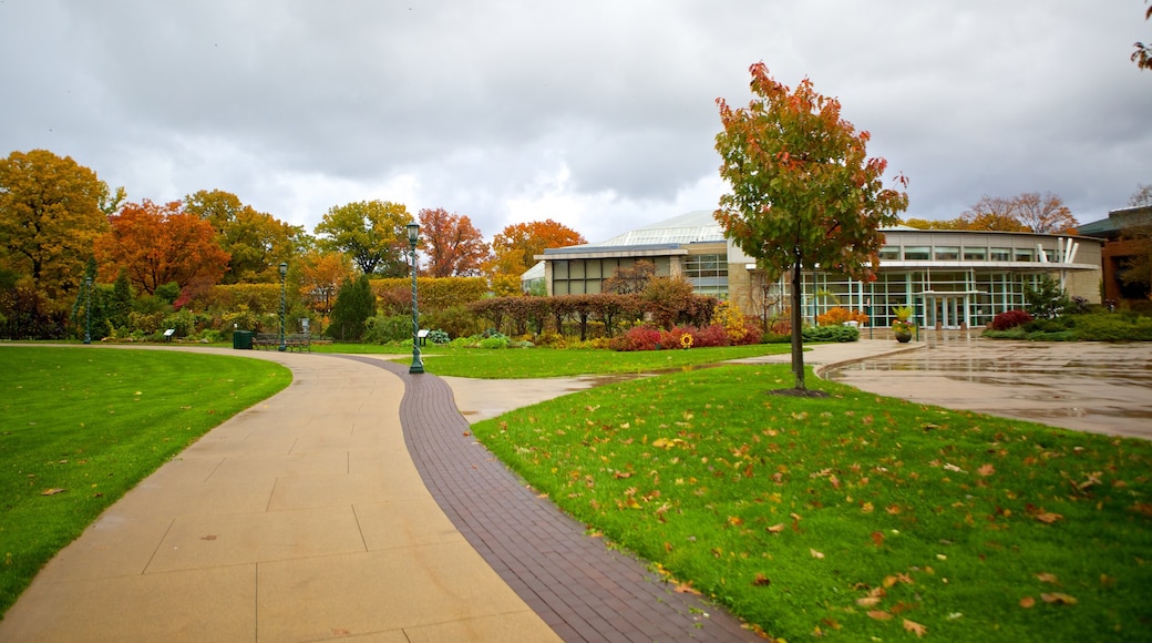 Cleveland Botanical Garden showing a park and autumn colours