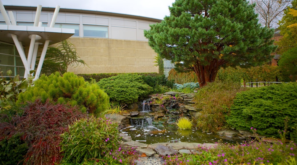 克里夫兰植物园