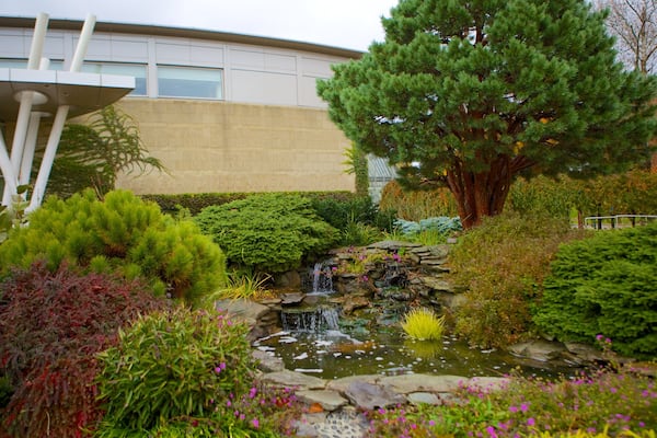 Jardin botanique de Cleveland mettant en vedette jardin et cascade