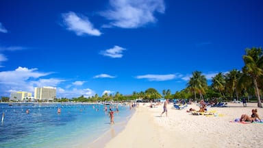 Ocho Rios which includes a sandy beach, tropical scenes and swimming