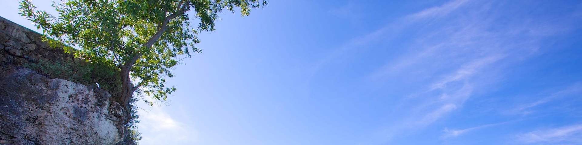 内格里尔, 威斯摩兰区, 牙买加