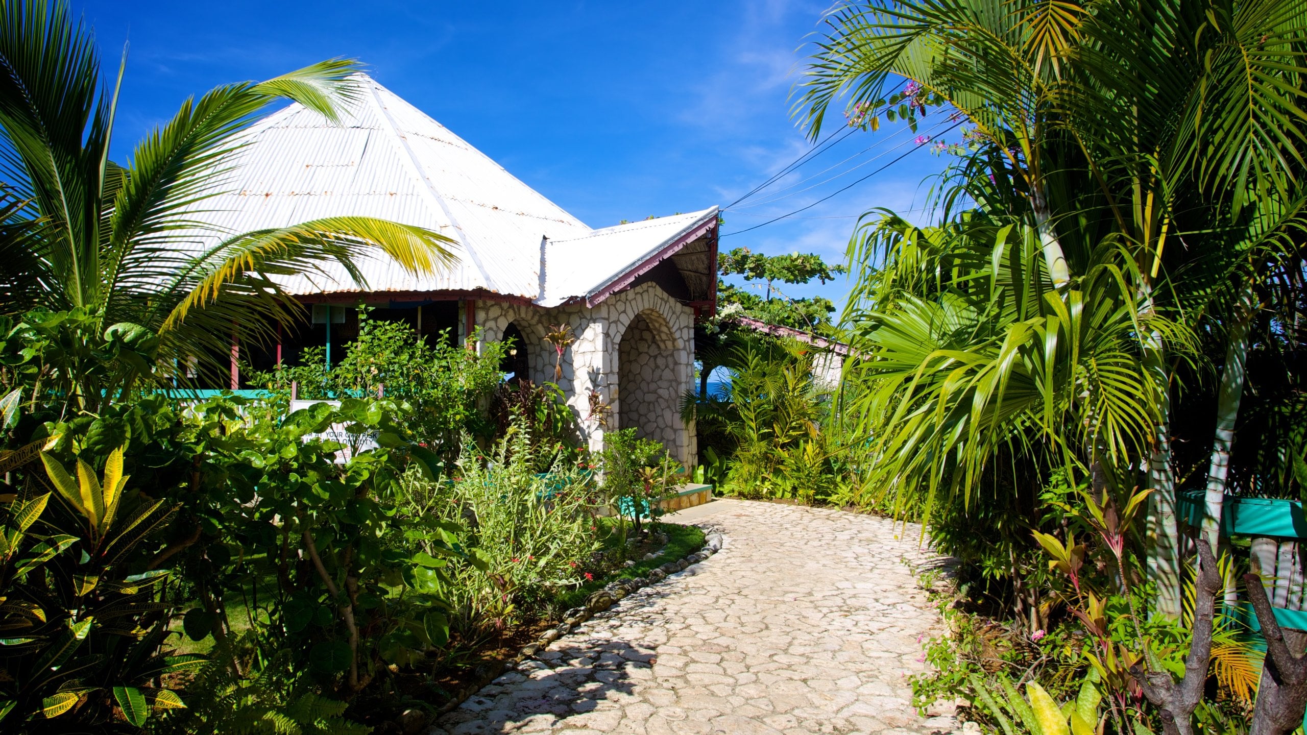 Negril mostrando escenas tropicales y una casa