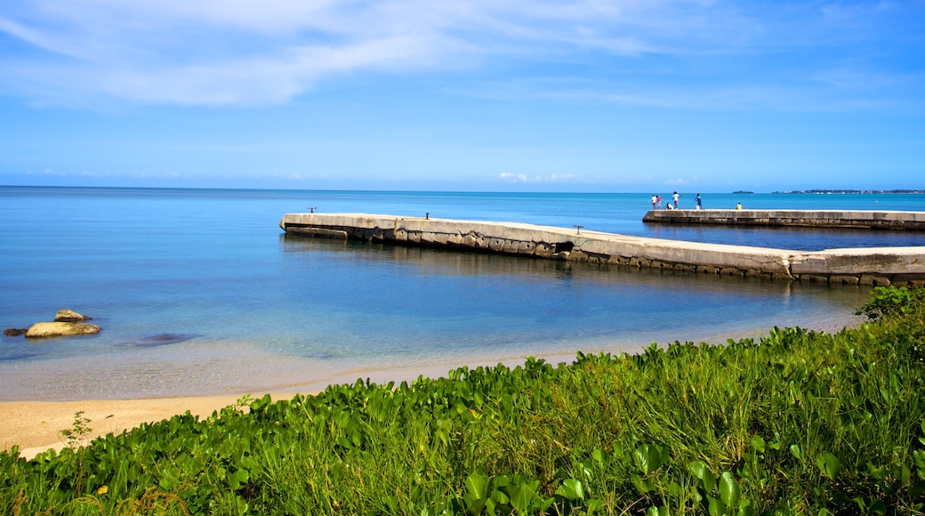 Negril che include paesaggio tropicale e spiaggia